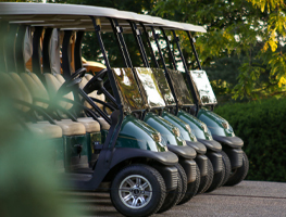 Golf Carts