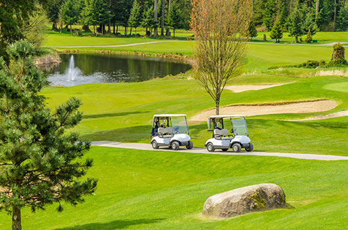best golf cart shipper