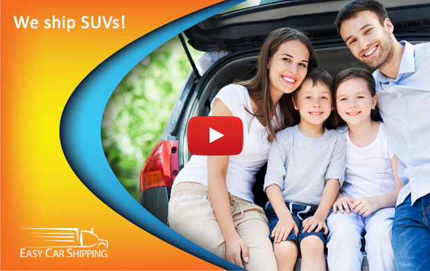 Video Image