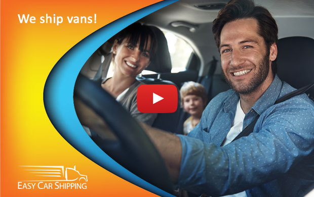 Video Image